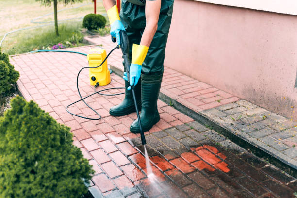 Best Pressure Washing Patio  in Ludowici, GA