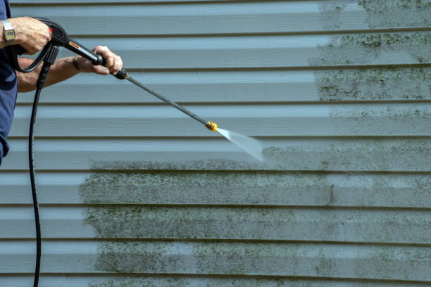 Best Pressure Washing Near Me  in Ludowici, GA