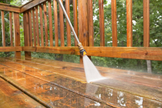 Best Roof Power Washing Services  in Ludowici, GA