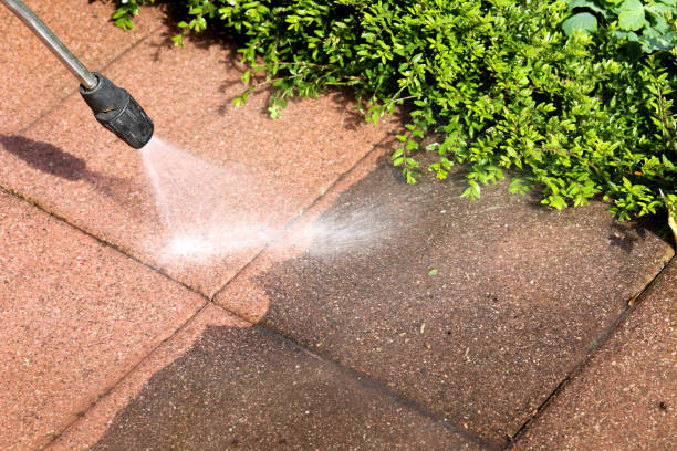 Best Garage Pressure Washing  in Ludowici, GA